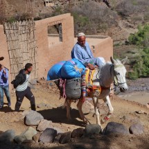 A lot of transportation in Imlil is still done with donkeys and mules